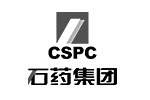 廢氣治理案例_石藥集團